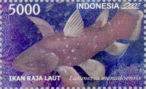 Indonesian Coelacanth as shown on a 2000 Indonesia stamp.