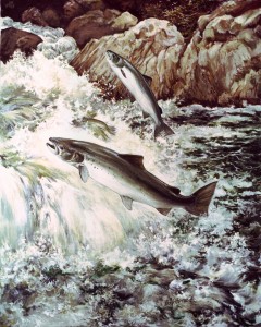 atlantic_salmon_4by5inches